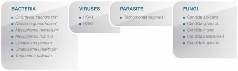 STI Infection